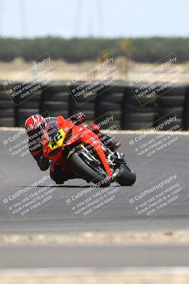 media/Jul-19-2025-TrackDaz (Sat) [[ff1509a44a]]/A Group/12pm (Turn 1)/